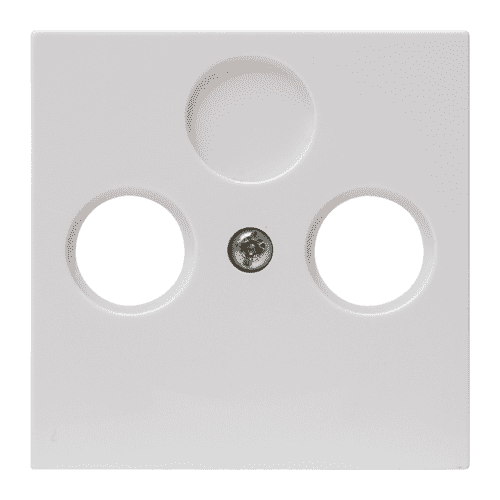 Centraalplaten
